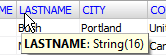 Showing field name and type in the multiple record mode