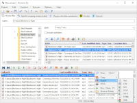 Batch file renaming tool